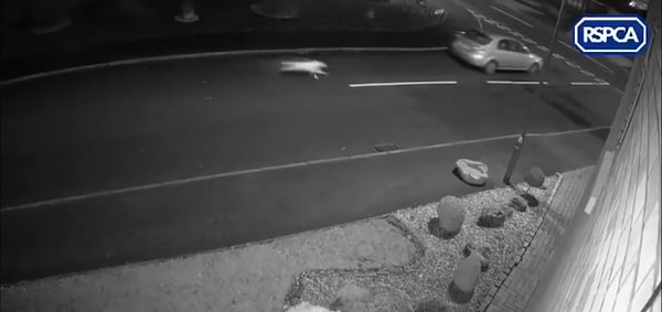 ...В машине сидело два человека...