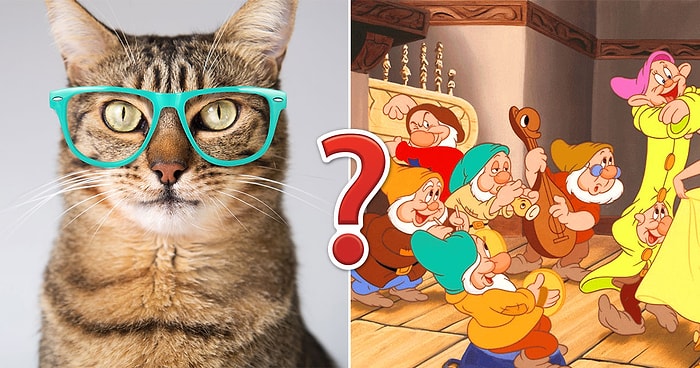 Тест, который проверит вашу эрудицию: где вы на шкале от 0 до 12?