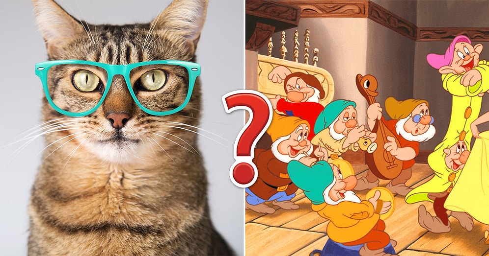 Тест, который проверит вашу эрудицию: где вы на шкале от 0 до 12?