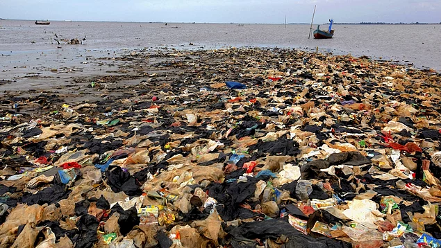 2018'e damgasını vuran konulardan biri de dünyadaki plastik atık sorunuydu.