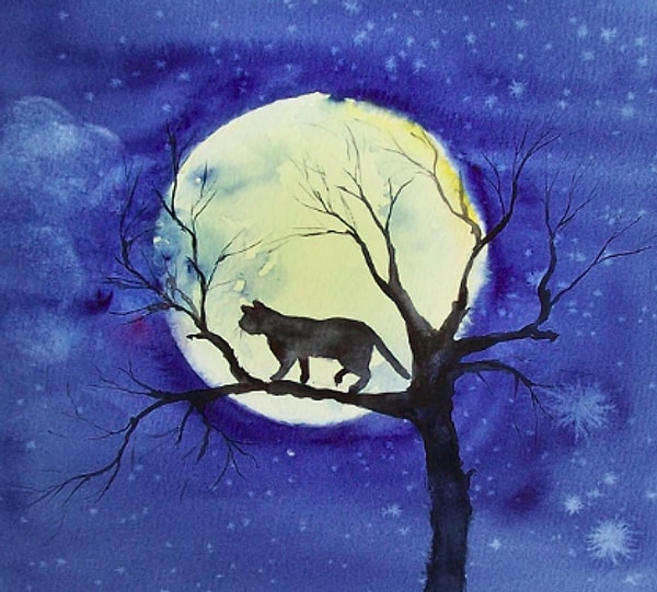 Рисунок № 1