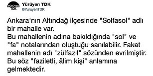 Öğrenince Üzerinizdeki Cehalet Bulutlarını Püf Diye Dağıtacak Kelimelerin Kökenleri ve Türkçeye Dair Müthiş Bilgiler