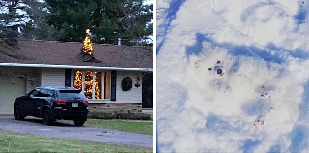 Кабы не было зимы в города и сёлах: Подборка очень правдивых зимних фото