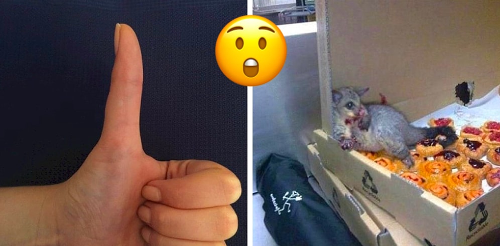 Фото, которые кажутся настолько нереальными, что посмотреть на них нужно как минимум дважды