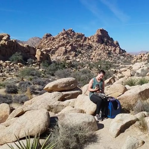 Joshua Tree National Park, USA