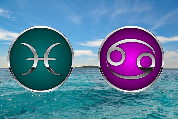 Вы Рыбы или Рак!