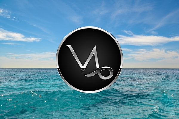 Вы Козерог!