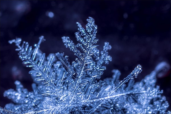 Вы человек, всегда сдерживающий обещания