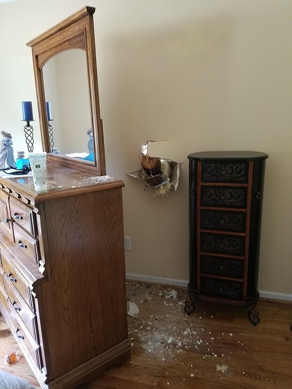 11. Когда решил спилить дерево в страхе, что когда-то оно может упасть на дом