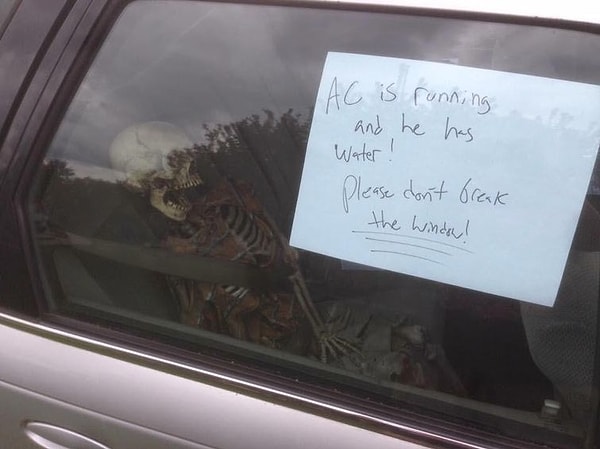 6. Не помрет, не переживайте