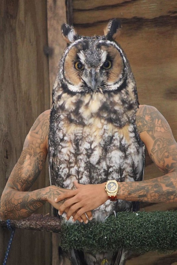 3. "Эй ты! Я слежу за тобой!"