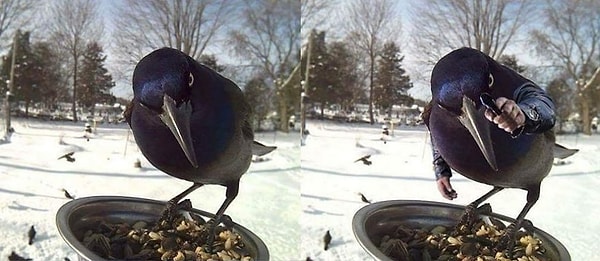 10. Слышь ты! Руки вверх!