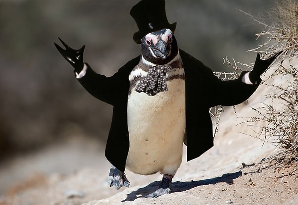 15. Господин Черчилль, вы ли это?