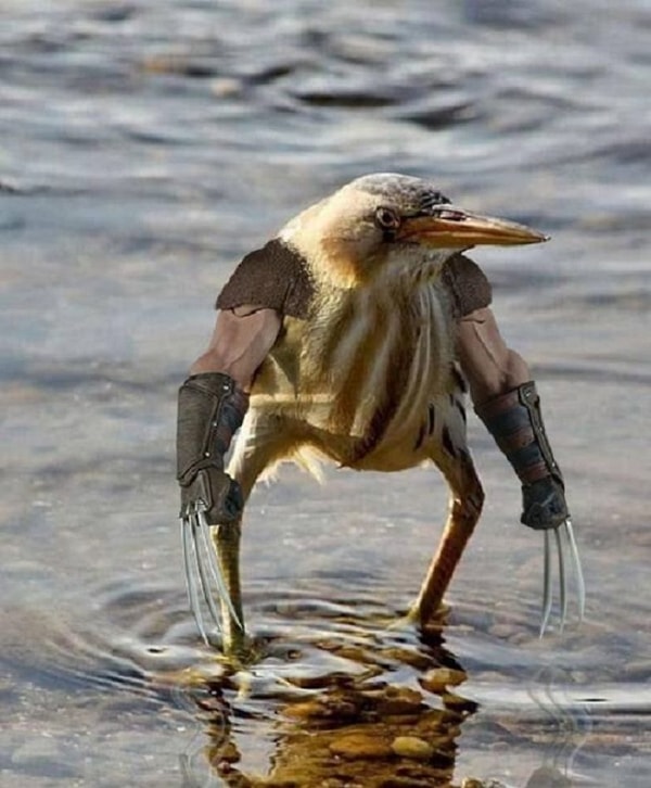 17. Что-то пошло не так