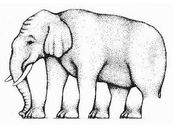 8. Сколько тут вообще ног?