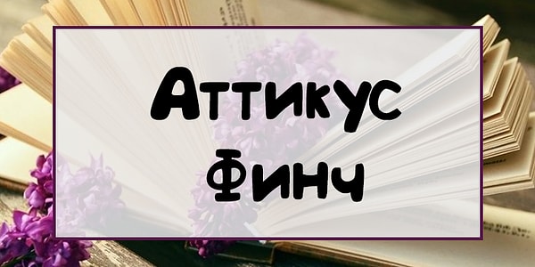 5. Что скажете?
