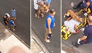 Yaralı Dostuna, Bir Annenin Çocuğuna Gösterdiği Saf ve Karşılıksız Sevgi Gibi Sevgi Gösteren Köpek