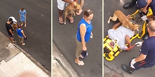 Yaralı Dostuna, Bir Annenin Çocuğuna Gösterdiği Saf ve Karşılıksız Sevgi Gibi Sevgi Gösteren Köpek