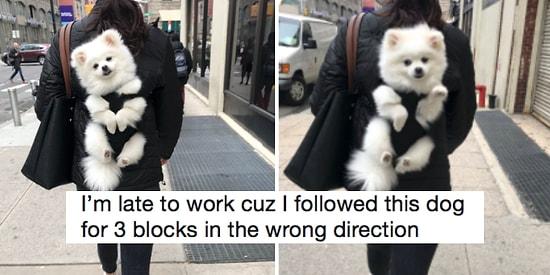 22 Good Boys From Twitter That'll Make You Happy As A Clam!