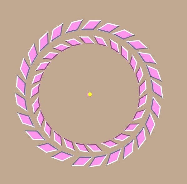 19. Смотрите на точку в центре, а затем приблизьте лицо к экрану.