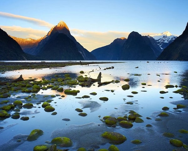 5. Канада или Новая Зеландия?