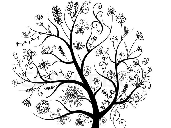 5. Какое из этих деревьев вызывает в вас наиболее сильные эмоции?