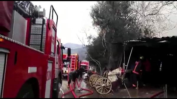 Olay yerine Büyükada itfaiye ile sağlık ekipleri sevk edildi.