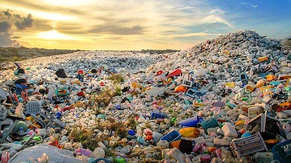 3. "Tek kullanımlık plastikler ve doğaya verdikleri zarar."