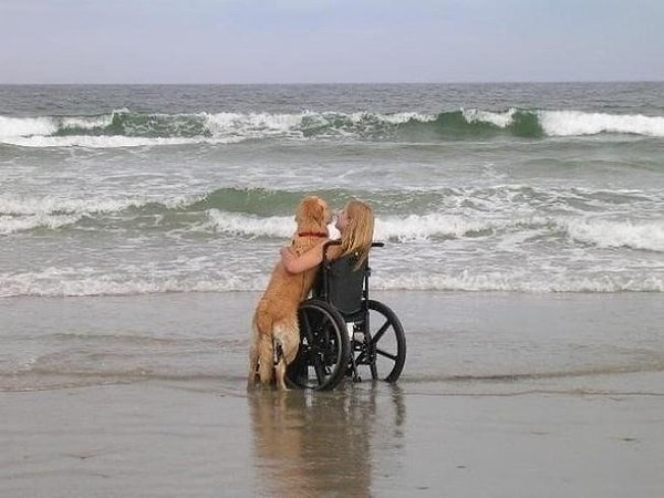 13. Счастье в мелочах