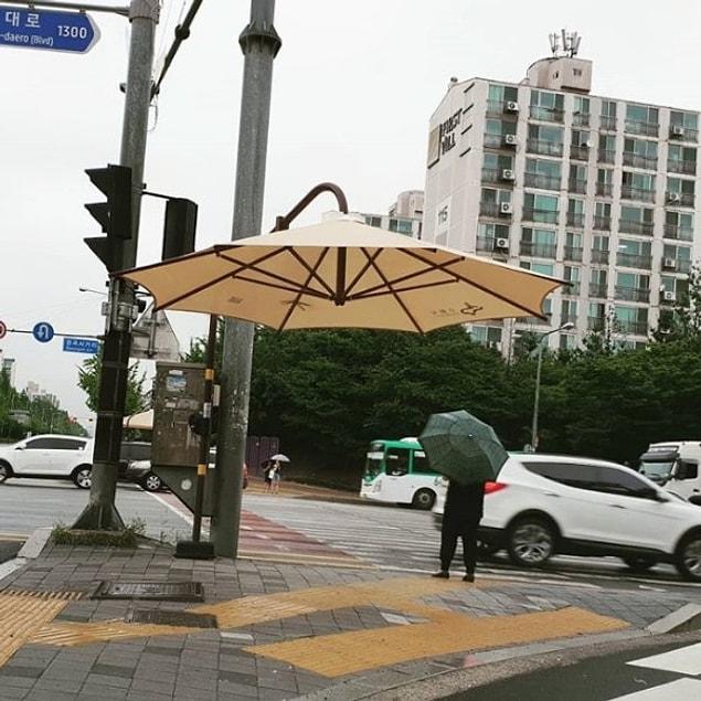 9. Giant umbrellas on crosswalks are to protect people from sunny/rainy days while they wait.