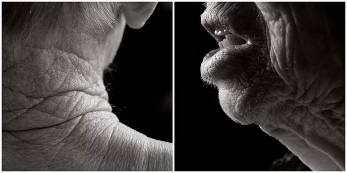 Yaş 100: Anastasia Pottinger Bir Asırlık Yaşamları Tüm İçtenliğiyle Fotoğrafladı