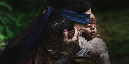 'Bird Box Challenge' İçin Netflix Özür Diledi: 'Hastanede Sonlanan Paylaşımlar Görmek İstemiyoruz'
