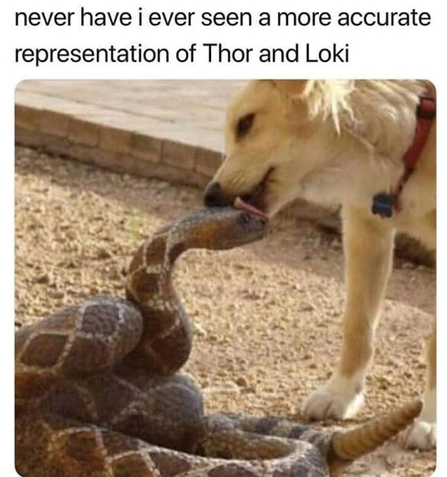 3.