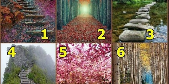 Тест: Куда приведет ваша жизненная дорога?