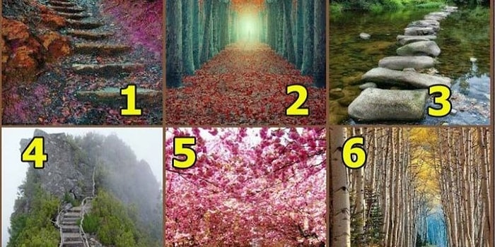 Тест: Куда приведет ваша жизненная дорога?