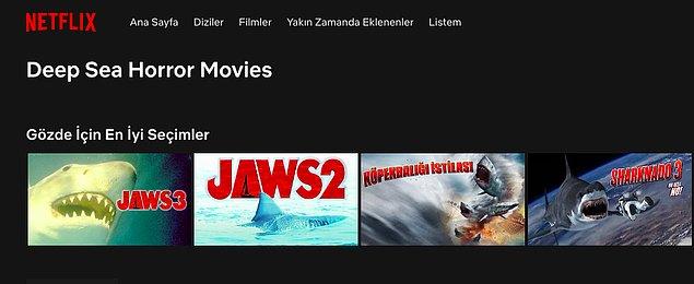 Netflix-Codes’da alıştığımız standart kategorilerden farklı kategoriler de bulunuyor. “Denizde geçen korku filmleri" bunlardan sadece biri.
