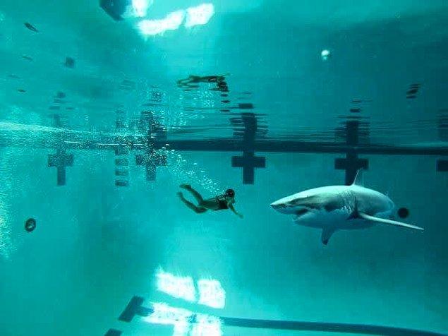 3. Küçükken yaşadığınız anlamsız korkular arasında havuzda köpekbalığı olması da var mıydı?