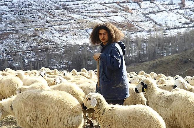 Şehirden Köye Göç Etti: Üniversiteden Mezun Olup Çobanlığı Seçen Duran Bircan ile Tanışın!