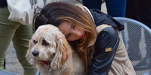 Bilim İnsanlarına Göre Sevdiğiniz Bir İnsanı Kaybetmekle Köpeğinizi Kaybetmenin Acısı Aynı!