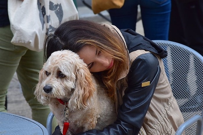 Bilim İnsanlarına Göre Sevdiğiniz Bir İnsanı Kaybetmekle Köpeğinizi Kaybetmenin Acısı Aynı!