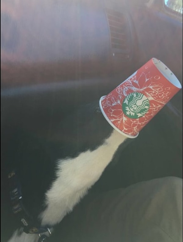 4. За минуту до катастрофы