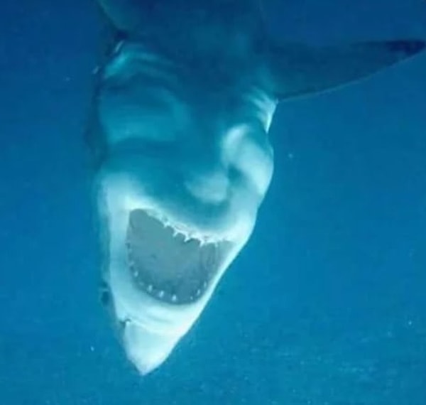 10. Вы тоже подумали, что это Волшебное зеркало из Белоснежки?