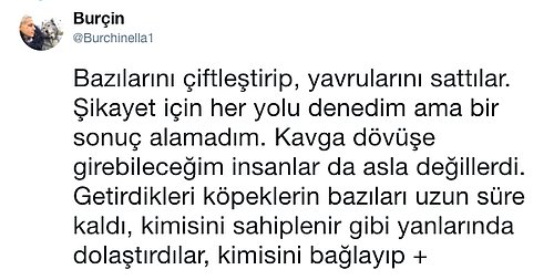 Pitbull Tarafından Isırıldıktan Sonra Örnek Bir Davranış Sergileyen Hayvanseverin Bu Paylaşımını Kesinlikle Okumalısınız!