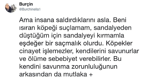 Pitbull Tarafından Isırıldıktan Sonra Örnek Bir Davranış Sergileyen Hayvanseverin Bu Paylaşımını Kesinlikle Okumalısınız!