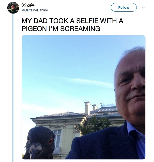 16.
