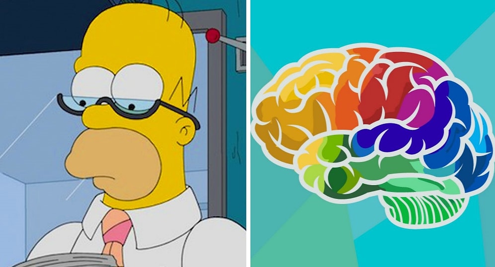 Тест на общие знания, который по зубам не каждому. А вы наберете 12/13?