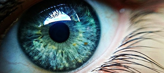 Только люди, у которых все в порядке с визуальным восприятием, смогут пройти этот тест