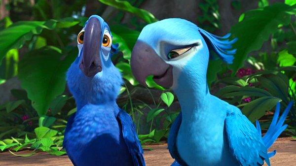 Papağan türünü ünlü "Rio" filminde başrolde izlemiştik.