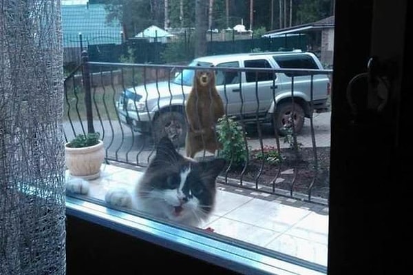 7. "Хозяин, у нас тут проблемка".