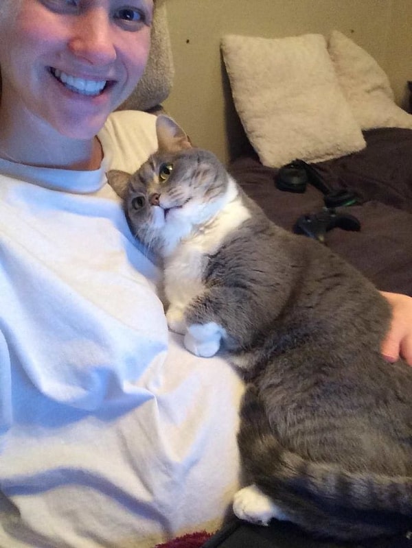 21. "Мой кот обожает лежать с моей беременной женой".